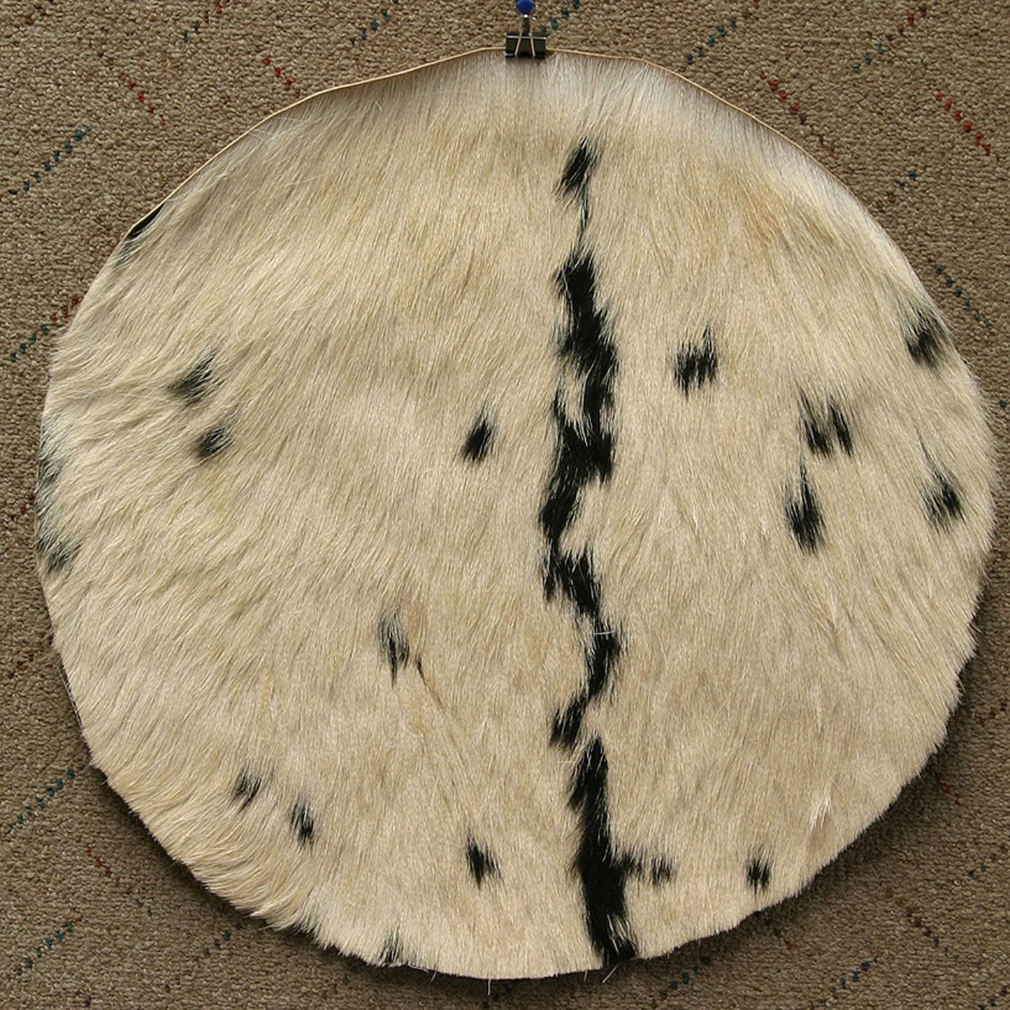 Goatskin, 18" with Hair, Medium