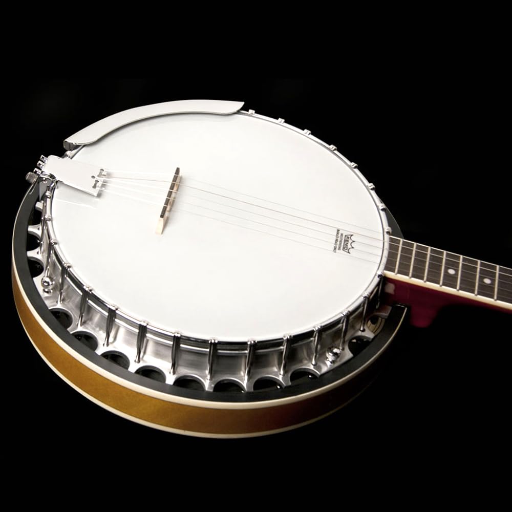 Washburn Americana Series B9-WSH-A 5 String Banjo Natural