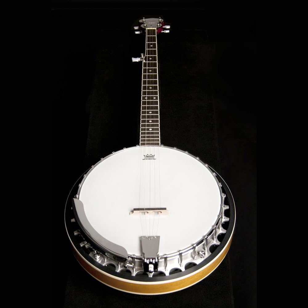 Washburn Americana Series B9-WSH-A 5 String Banjo Natural
