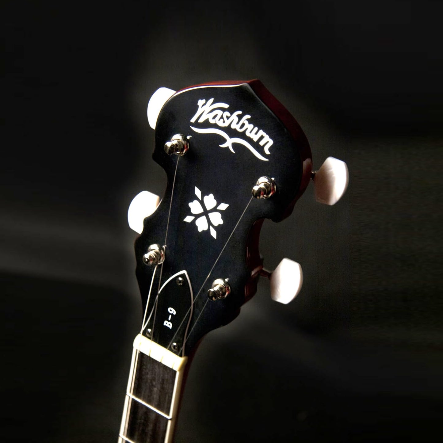 Washburn Americana Series B9-WSH-A 5 String Banjo Natural