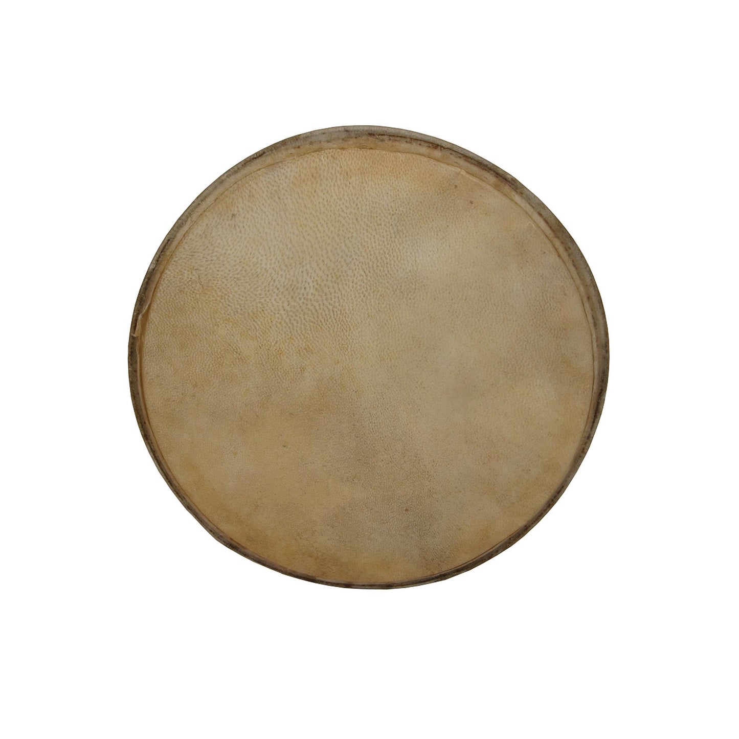 Mid-East Premounted Goatskin Head for Doumbek 10"