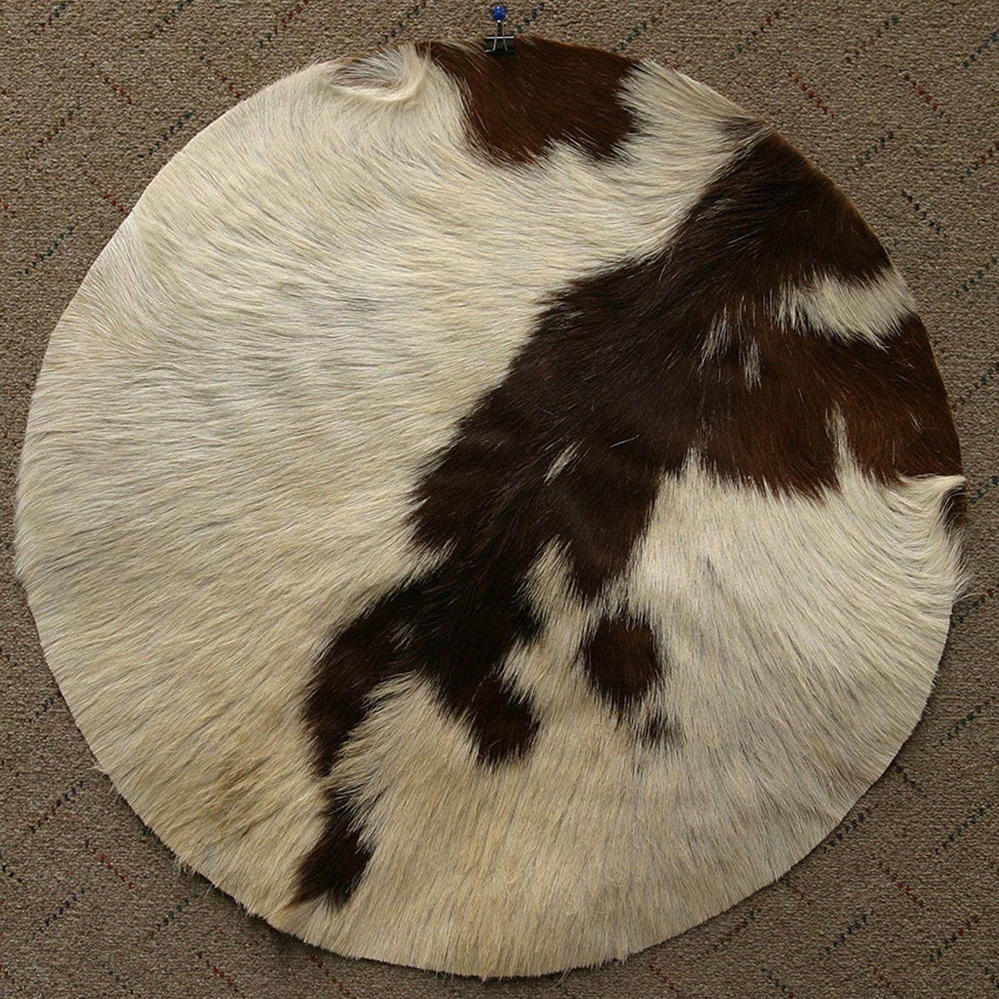 Goatskin, 26" with Hair, Medium