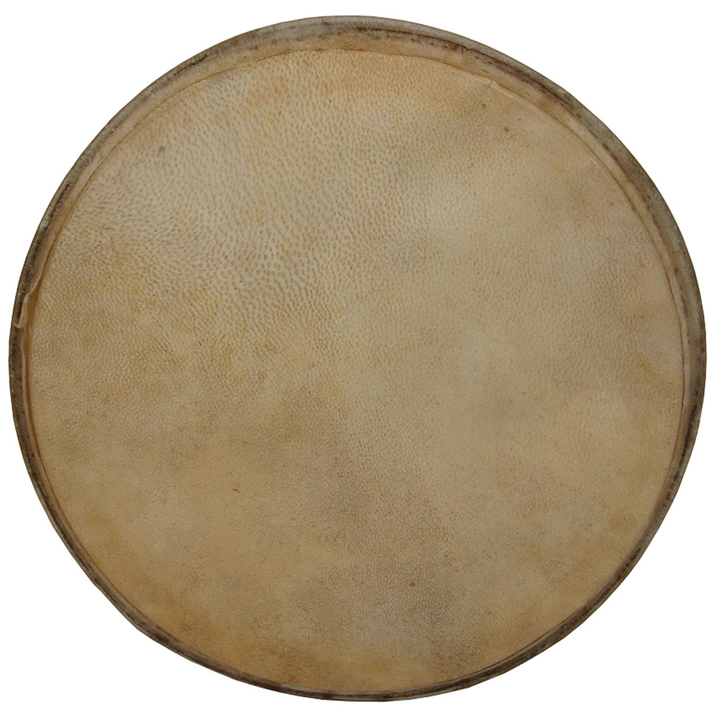 Mid-East Goatskin Head for Pandeiro, 10-Inch