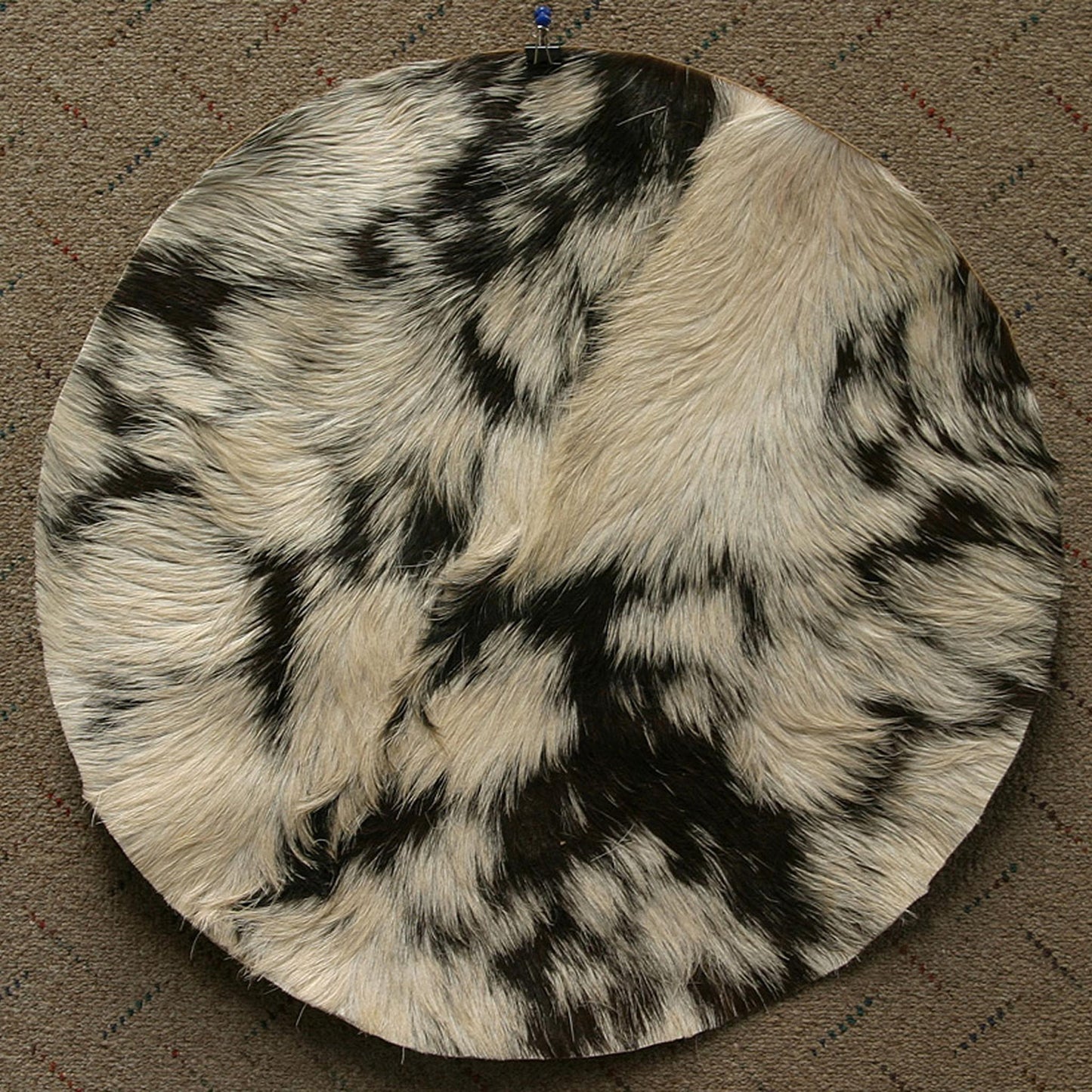 Goatskin, 22" with Hair, Thin