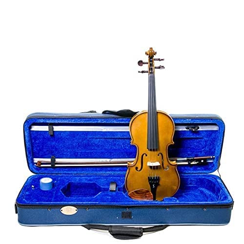 Other, 4-String Viola-Acoustic, 13 (1038M2-13)