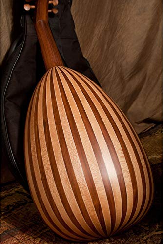 Mid-East Mid-East Arabic Oud Sheesham w/Gig Bag OUDR14N