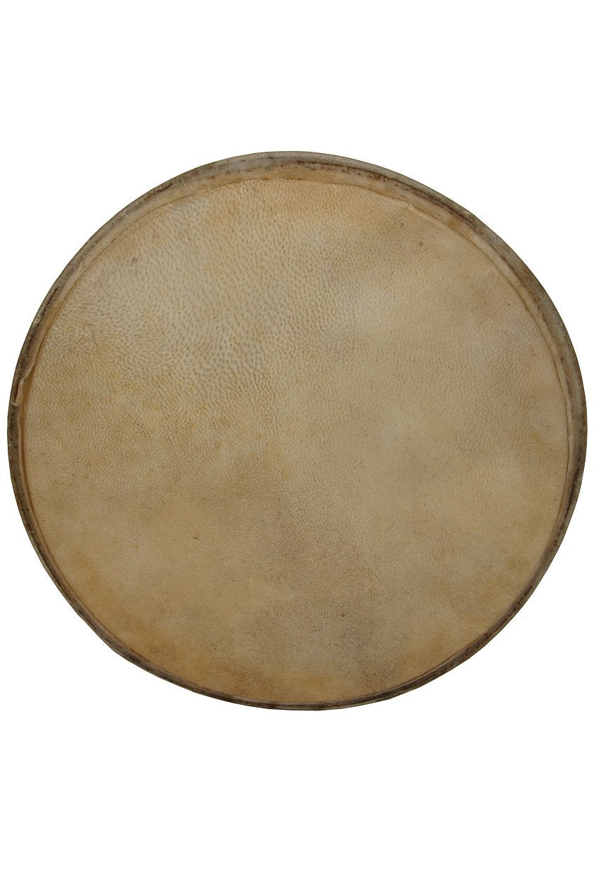 Mid-East Premounted Goatskin Head for Doumbek 10"