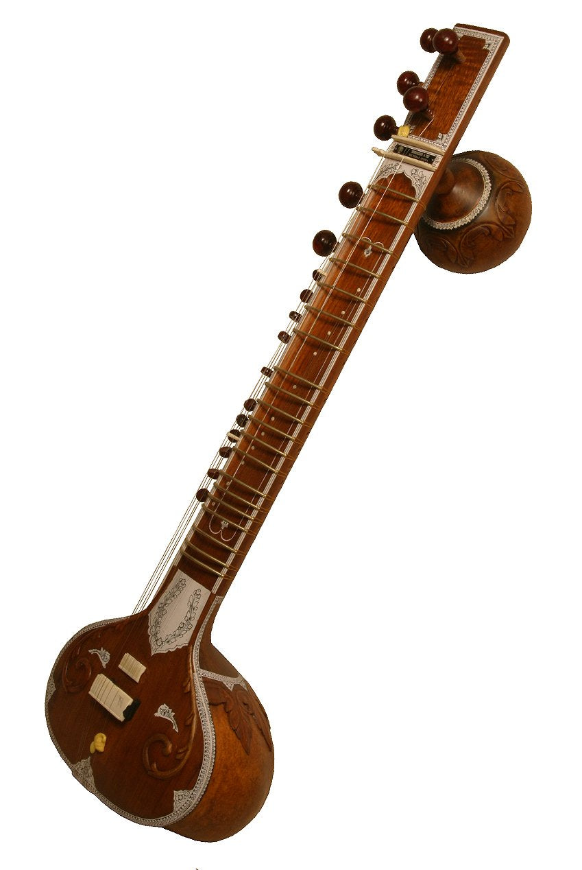 Sitar, Standard, Light Padded Nylon Case