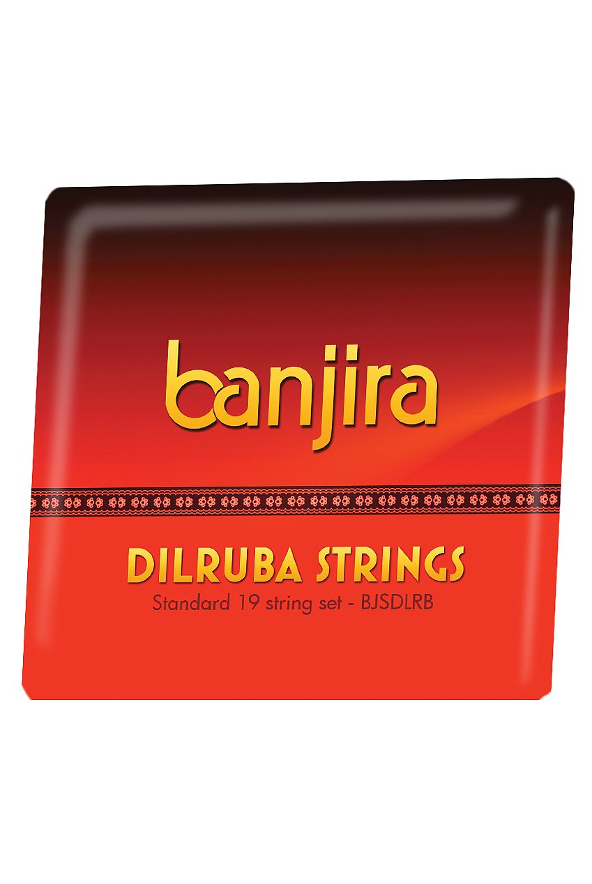 Banjira Dilruba String Set