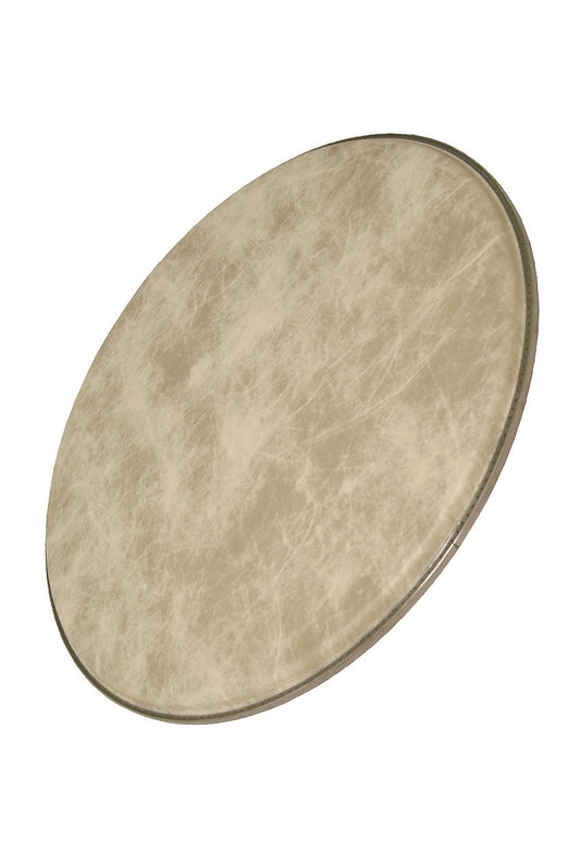 Remo Ambassador Fiberskyn Drumhead, 18"