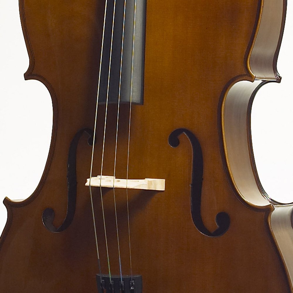 Stentor 1108.5 1/2 Cello