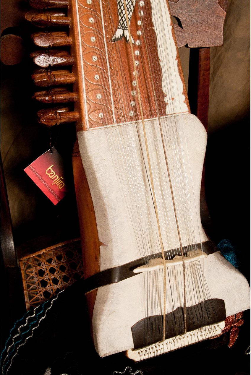 banjira Sarangi w/ Fiberglass Case