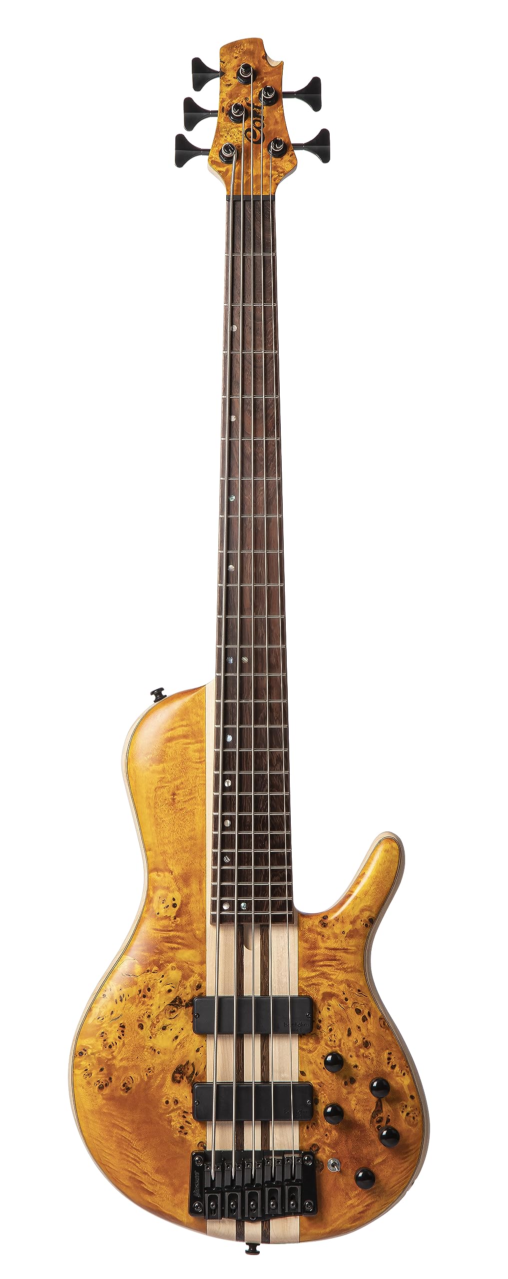 Cort Artisan Series A5 Plus 5 String Bass Guitar, Open Pore Amber (A5PLUSSCAOP)