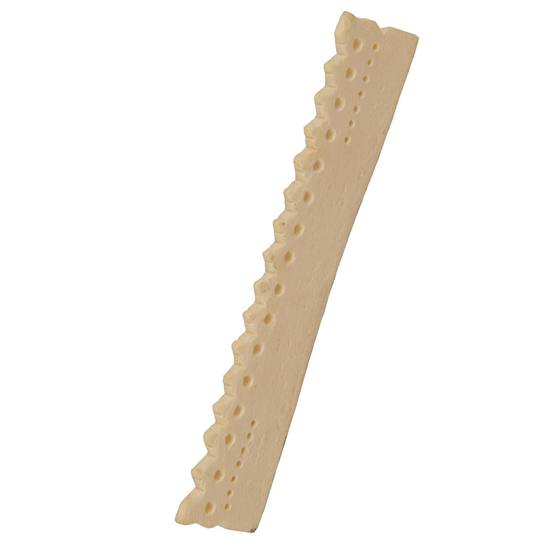 Sarangi String Guide