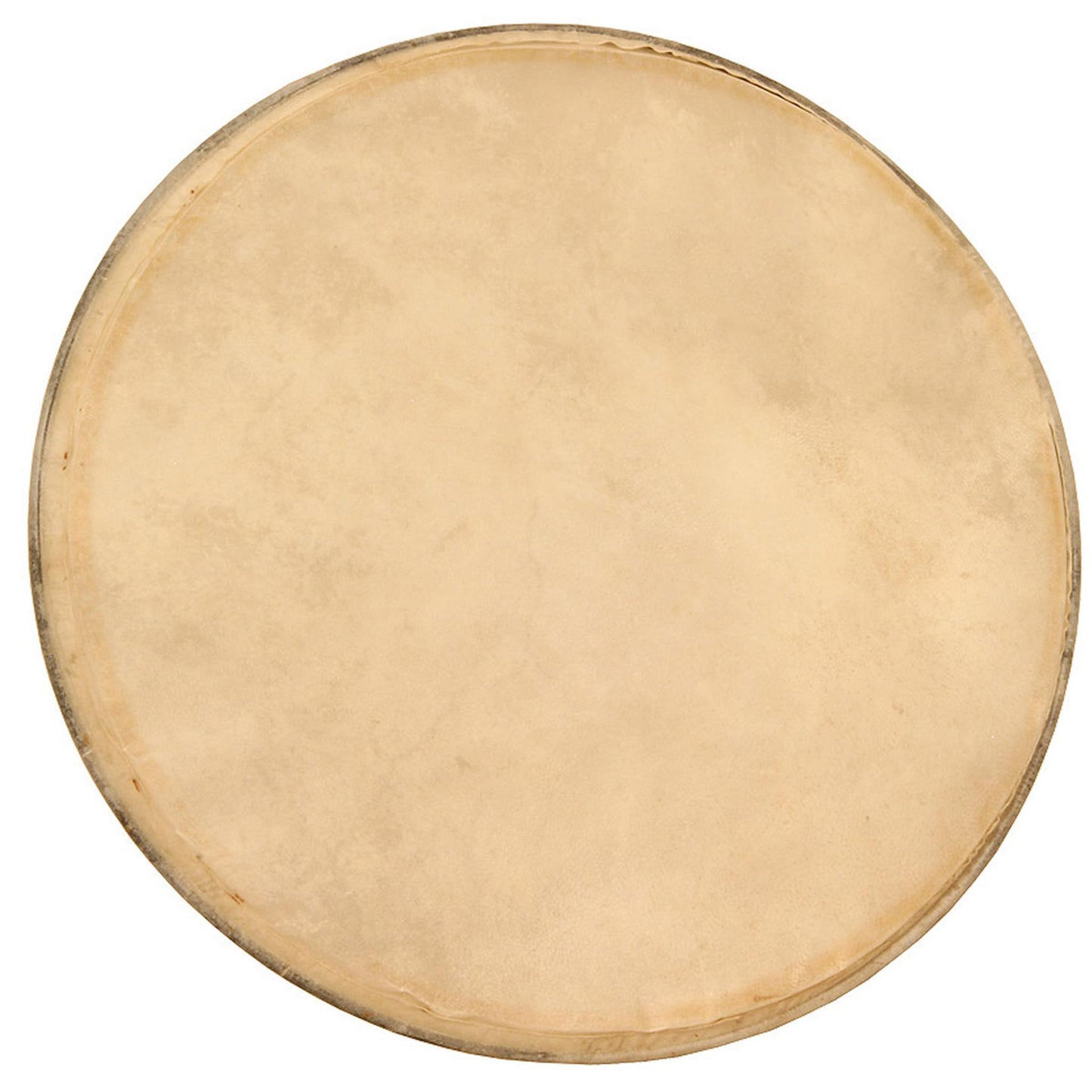 Mid-East Premounted Goatskin Head for Pandeiro 13"
